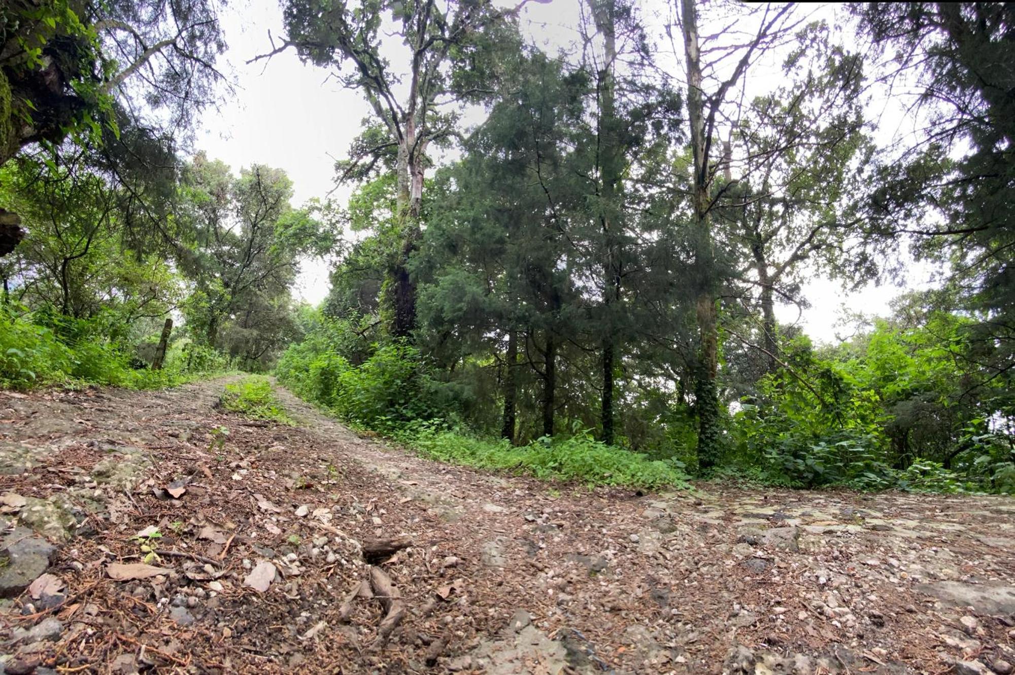 Cabanas Alpina, Romantica Y Acogedora A 10 Minutos Del Centro Tepoztlán Exterior foto